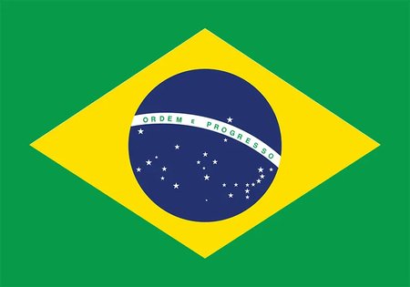 Flags of countries that border Brazil